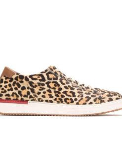 Myacti.shopdc8de564d9 1